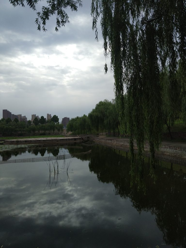 大学生活 大学生活-ZAERA